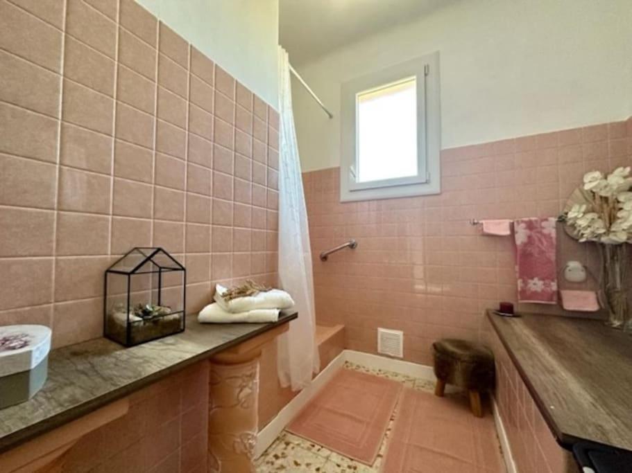 Appartement St Laurent แซงต์-โลรองต์-เดอ-ลา-ซาลองก์ ภายนอก รูปภาพ